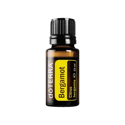 Bergamotka
