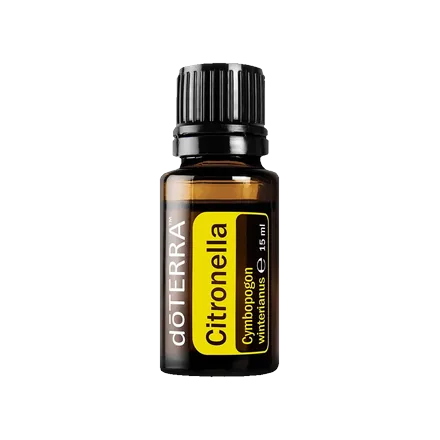 Citronelia