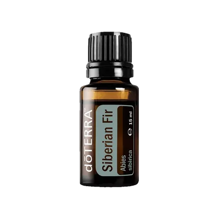 Siberian Fir